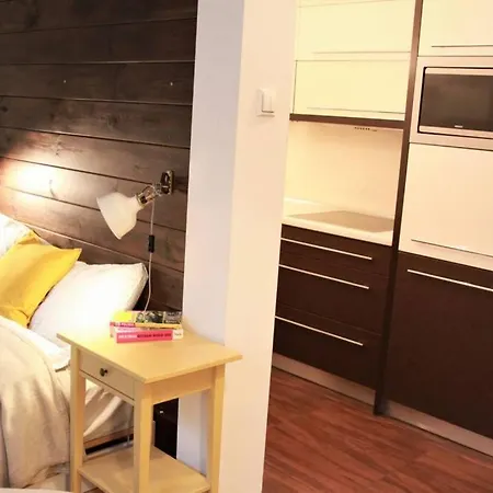 Kopernika 8'1 - Market Square & Old Town Appartement Krakau